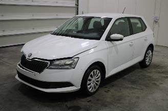 Schadeauto Skoda Fabia  2019/6