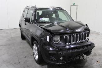 Jeep Renegade  picture 2