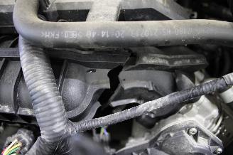 Kia Rio  picture 19