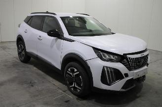 Peugeot 2008  picture 2