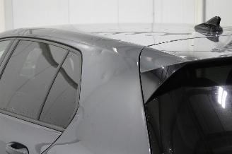 Volkswagen Golf  picture 10