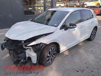 Auto da rottamare Volkswagen Golf Golf VIII (CD1), Hatchback, 2019 1.0 eTSI 12V 2022/1