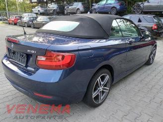 BMW 2-serie 2 serie (F23), Cabrio, 2014 / 2021 218i 1.5 TwinPower Turbo 12V picture 5