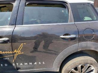 Mini Countryman  picture 18