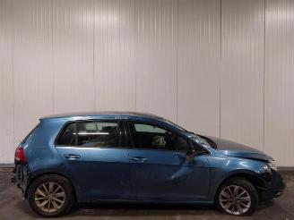 Volkswagen Golf Golf VII (AUA), Hatchback, 2012 / 2021 1.6 TDI 16V picture 4