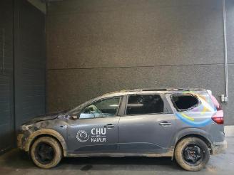 Dacia Jogger Jogger, MPV, 2022 1.0 TCe 100 Bi-Fuel , ECO-G 12V picture 9