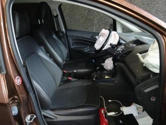 Ford EcoSport EcoSport (JK8), SUV, 2013 1.0 EcoBoost 12V 125 picture 21