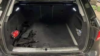 Audi A4 allroad  picture 24