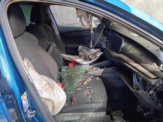 Skoda Octavia Octavia Combi (NXAC), Combi 5-drs, 2019 2.0 TDI GreenTec 16V picture 18