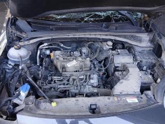 Kia Sportage  picture 14