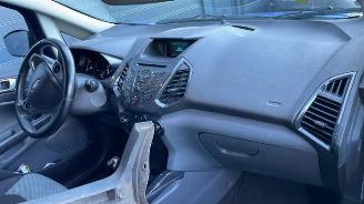 Ford EcoSport EcoSport (JK8), SUV, 2013 / 2022 1.0 EcoBoost 12V 125 picture 18