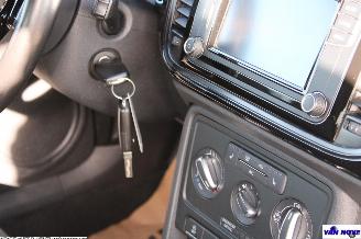 Volkswagen Beetle 5C picture 14