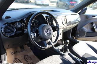 Volkswagen Beetle 5C picture 11