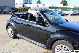 Volkswagen Beetle 5C picture 12