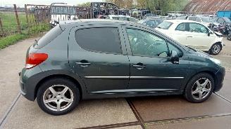 Peugeot 207  picture 4