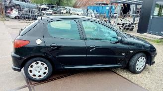 Peugeot 206  picture 4