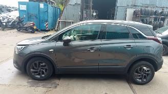 Opel Crossland X picture 2