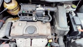 Peugeot 206 206 (2A/C/H/J/S), Hatchback, 1998 / 2012 1.4 XR,XS,XT,Gentry picture 6