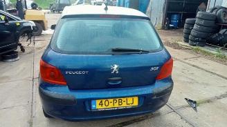Peugeot 307 307 (3A/C/D), Hatchback, 2000 / 2009 1.4 16V picture 3
