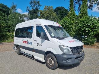 Avarii autoturisme Mercedes Sprinter 314 CDI Aut 9 Stoelen + Rolstoellift 2017/11