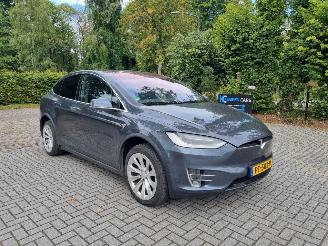  Tesla Model X 100D 7Pers Pano Navi Led Stoelverw. 2017/8