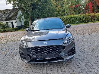 Ford Kuga 2.5i Hybrid ST-LINE Stoelverw. picture 7