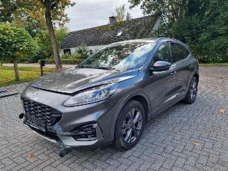 Ford Kuga 2.5 Hybrid ST-LINE Stoelverw. picture 6