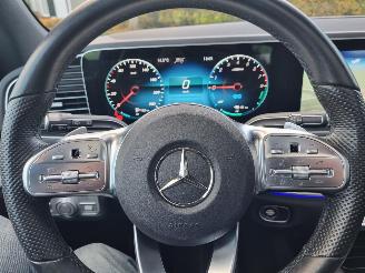 Mercedes GLE 350e AMG Line Pano Stoelver Led Vol picture 20