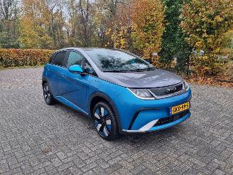 Vaurioauto  passenger cars BYD Dolphin 60.4 kWh Pano Led Navi Camera 2024/9