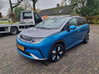 BYD Dolphin 60.4 kWh Pano Led Navi Camera picture 7