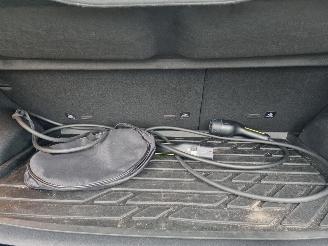 BYD Dolphin 60.4 kWh Pano Led Navi Camera picture 11