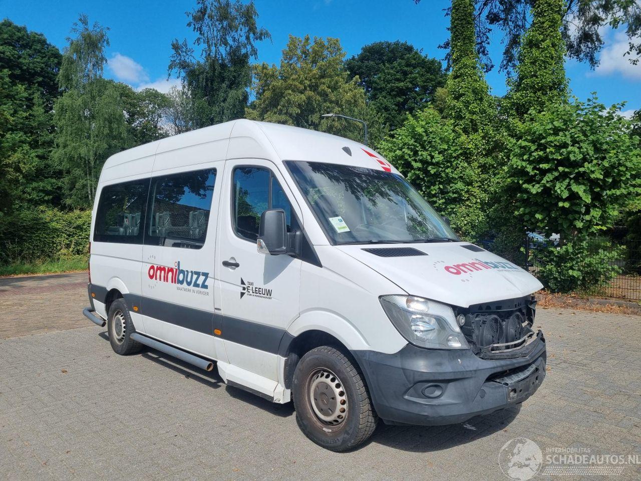 Mercedes Sprinter 314 CDI Aut 9 Stoelen + Rolstoellift