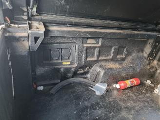 Ford Ranger Raptor 2.0 Aut Double Cab picture 9