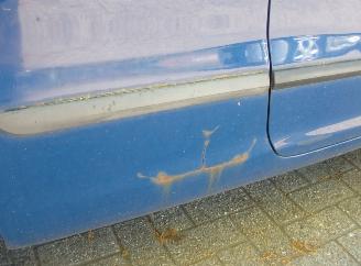 Volkswagen Fox  picture 5