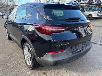 Opel Grandland  picture 6