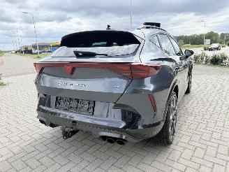 Cupra Formentor VZ NEW MOD! 2.0 TSI 4Drive 333PK DSG7 picture 11