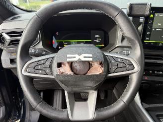 Dacia Bigster 1.8 Hybrid 155 Aut. Limited Edition PANO VOL! picture 22