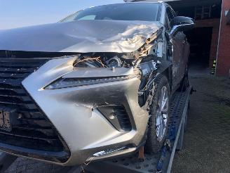 Lexus NX NX300 AWD picture 6