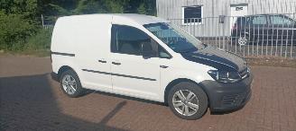 Schadeauto Volkswagen   2016/1