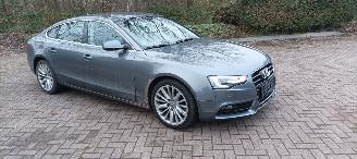 Avarii autoturisme Audi A5 A5-Sportback 2.0-TDI Automatik Navi Xenon Led Climatecontrol CruiseControl Stoelverwarming Lichtautomaat Regensensor Trekhaak Parkeersensoren 18-inch Audi velgen 2016/2