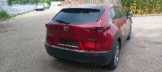 Mazda CX-30 1.8-skyactiv Executive Navi Head-up Keyless entry Leder Zwart/Bruin Climatecontrol Stoelverwarming Regensensor Drivelane assistent Dimmende binnenspiegel Achteruitrijcamera Elektrische achterklep picture 6