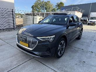 Vaurioauto  passenger cars Audi E-tron 50 QUATRO Launch edition plus 71 kWh PANO-NAVI-LEDER 2019/12