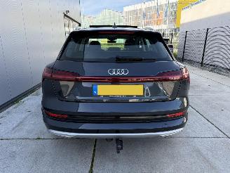 Audi E-tron 50 Quatro Launch Edition Plus 71 kWh PANO-LEDER-NAVI-PDC picture 8