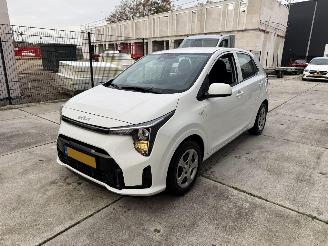  Kia Picanto 1.0 DPI DynamicLine -CAMERA-NAVI-PDC 2025/4