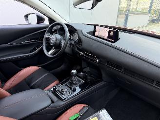 Mazda CX-30 2.5 e-SkyActiv-G M Hybrid Nagisa-LEDER-CAMERA-NAVI-HUD picture 6