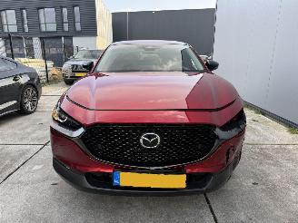 Mazda CX-30 2.5 e-SkyActiv-G M Hybrid Nagisa-LEDER-CAMERA-NAVI-HUD picture 13