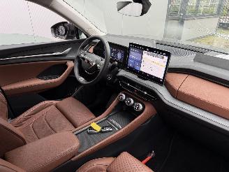 Skoda Kodiaq 1.5 TSI PHEV DSG 225 PK NAVI-LEDER-PDC-CAMERA picture 6