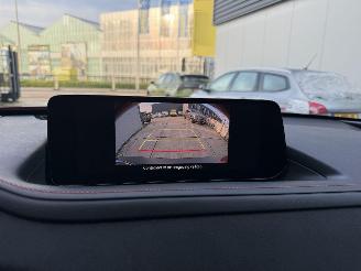 Mazda CX-30 2.5 e -SkyActive-G M Hybrid Nagisa-LEDER-CAMERA-HUD-NAVI-PDC picture 24