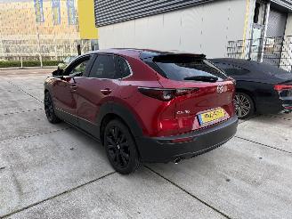 Mazda CX-30 2.5 e -SkyActive-G M Hybrid Nagisa-LEDER-CAMERA-HUD-NAVI-PDC picture 4