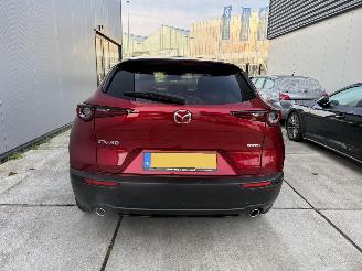 Mazda CX-30 2.5 e -SkyActive-G M Hybrid Nagisa-LEDER-CAMERA-HUD-NAVI-PDC picture 7